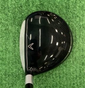 EPIC MAX FAST FWを構えると