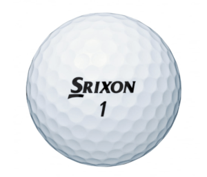 Zスター2023の外観